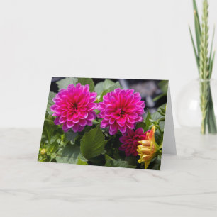 Pink Dahlia Blank Note Card Kaart