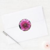 Pink Dahlia Bloom Ronde Sticker (Envelop)