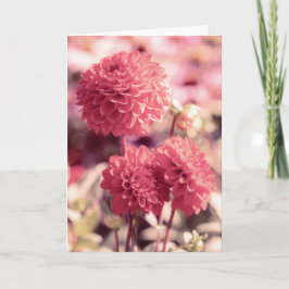 Pink Dahlia Blooms Note Kaart
