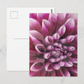 Pink Dahlia Briefkaart (Voorkant / Achterkant)