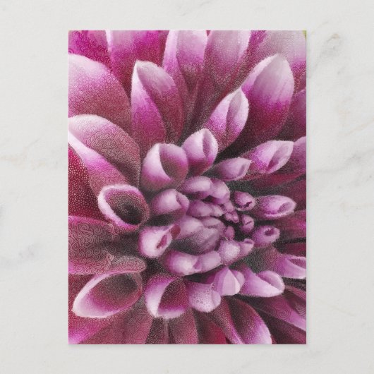 Pink Dahlia Briefkaart (Voorkant)