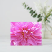 Pink Dahlia Briefkaart (Staand voorkant)