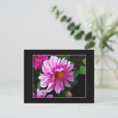Pink Dahlia Briefkaart (Staand voorkant)