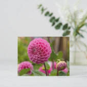 Pink Dahlia Briefkaart (Staand voorkant)