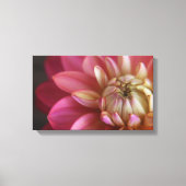 Pink Dahlia Canvas Afdruk (Voorkant)