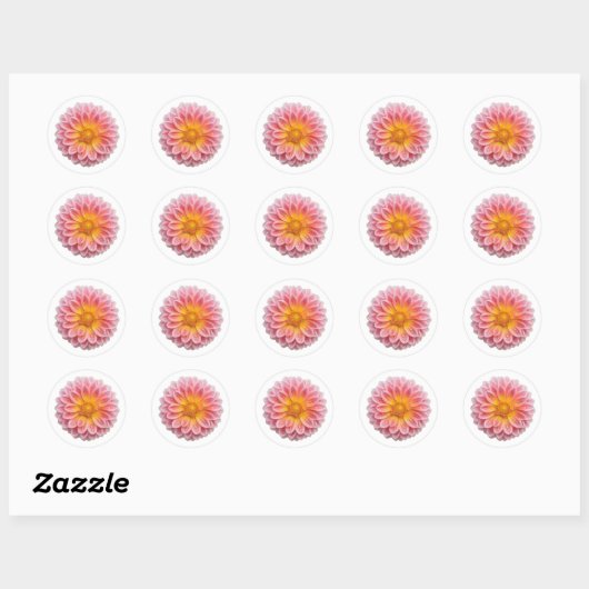 Pink Dahlia en Dew Drops Schattige Ronde Sticker (Vel)
