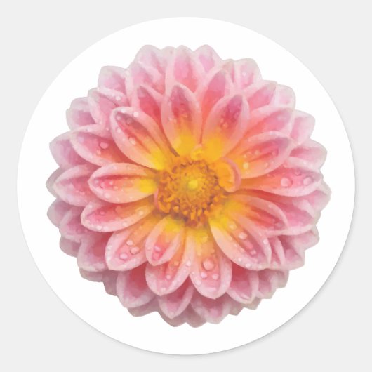 Pink Dahlia en Dew Drops Schattige Ronde Sticker (Voorkant)