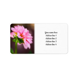 Pink Dahlia Etiket