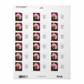 Pink Dahlia Etiket (Full Sheet)