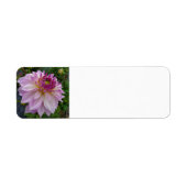 Pink Dahlia Etiket (Voorkant)