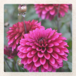 Pink Dahlia Floral Photography Square Glazen Onderzetter