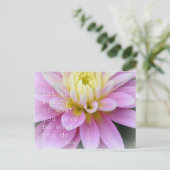 Pink Dahlia Flower Briefkaart (Staand voorkant)