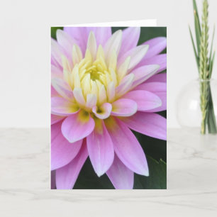 Pink Dahlia Flower Kaart