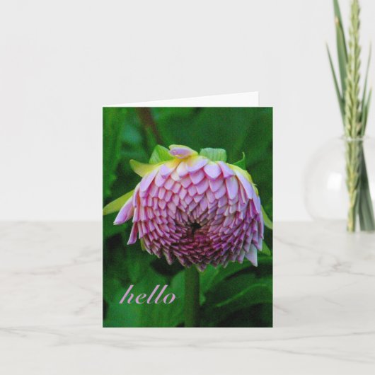 PINK DAHLIA KAART (Voorkant)
