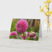 Pink Dahlia Kaart (Gele Bloem)