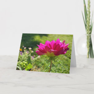 Pink Dahlia Kaart