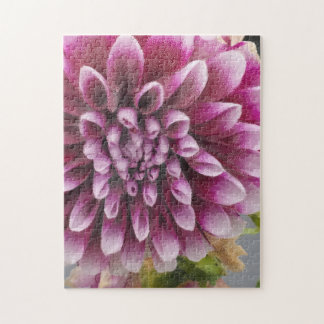 Pink Dahlia Legpuzzel