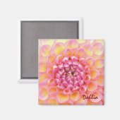Pink Dahlia Magnet (Voorkant / Achterkant)
