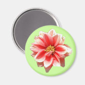 Pink Dahlia Magnet (Voorkant / Achterkant)