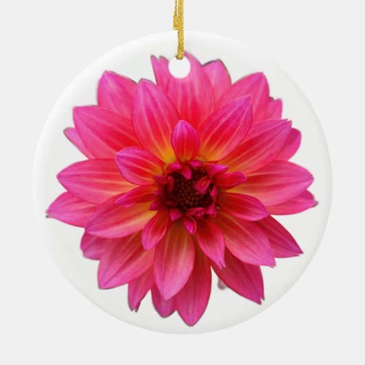 Pink Dahlia Ornament (Achterkant)