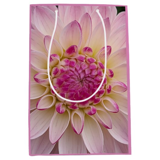 Pink Dahlia Petals Floral Macro Foto Medium Cadeauzakje (Voorkant)