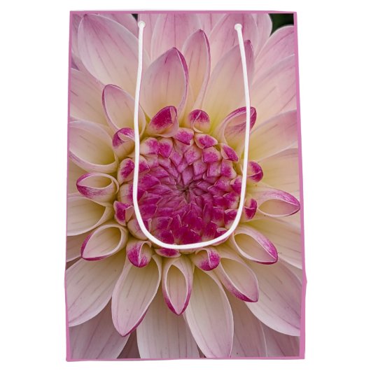 Pink Dahlia Petals Floral Macro Foto Medium Cadeauzakje (Achterkant)