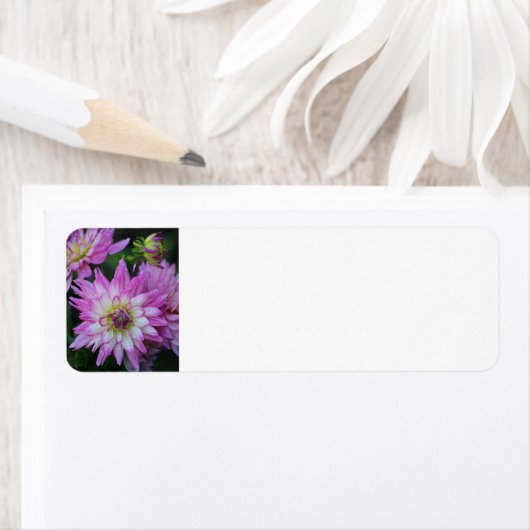 Pink Dahlia retouradreslabels Etiket (Insitu)