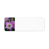 Pink Dahlia retouradreslabels Etiket (Voorkant)