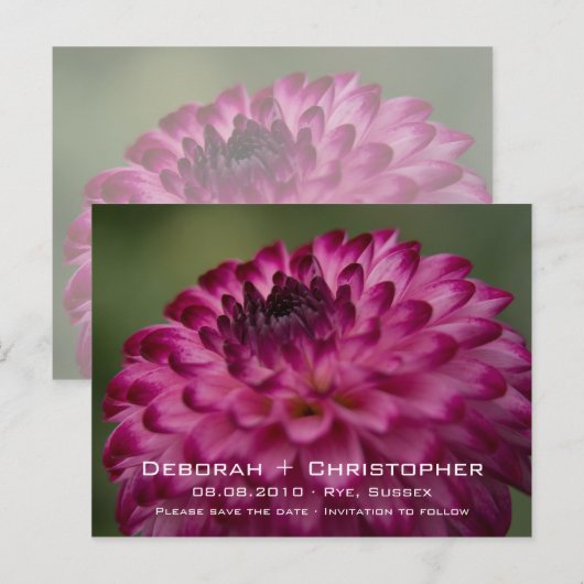 Pink Dahlia · Save the Date Briefkaart (Voorkant / Achterkant)