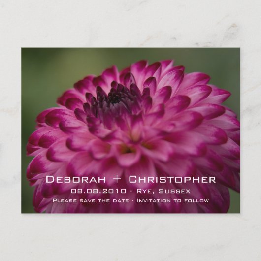 Pink Dahlia · Save the Date Briefkaart (Voorkant)