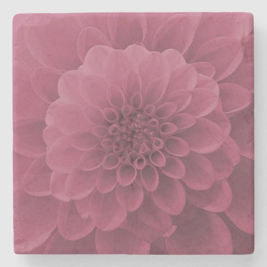 Pink Dahlia Stenen Onderzetter (Voorkant)