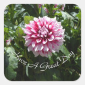 Pink Dahlia Vierkante Sticker (Voorkant)