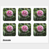 Pink Dahlia Vierkante Sticker (Vel)