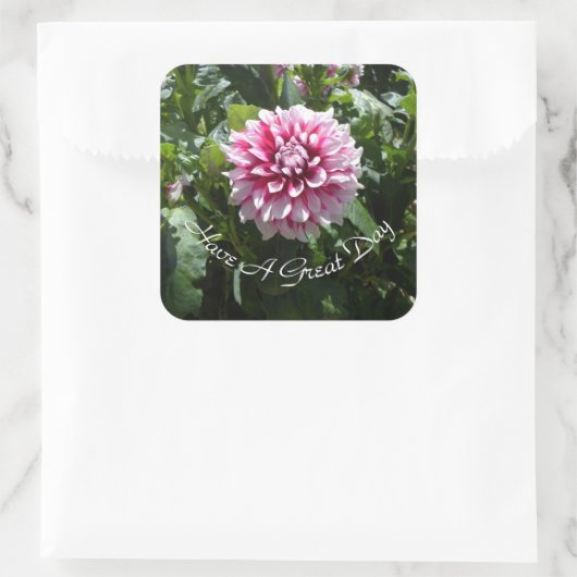 Pink Dahlia Vierkante Sticker (Tas)