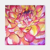 Pink Dahlia waterverf fine art magnet (Voorkant)