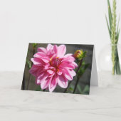 Pink Dahlia Wenskaart Aankondiging (Voorkant)