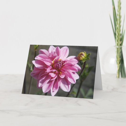 Pink Dahlia Wenskaart Aankondiging (Voorkant)