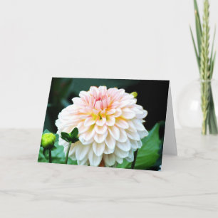 Pink Dahlia Wenskaart Kaart