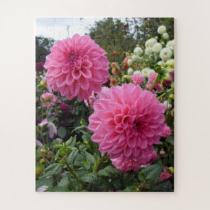 Pink Dahlias Legpuzzel