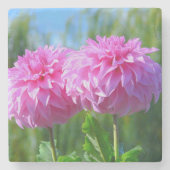 PINK DAHLIAS STENEN ONDERZETTER (Voorkant)
