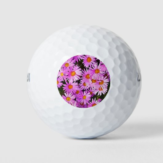 PINK DAISIES GOLFBALLEN (Voorkant)
