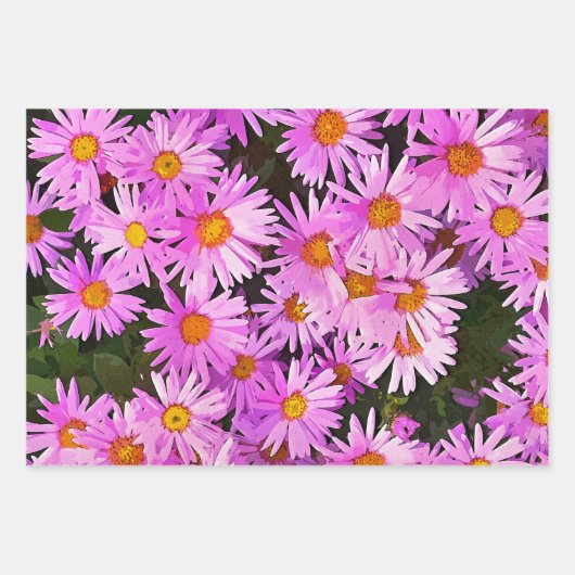  PINK DAISIES INPAKPAPIER VEL (Voorkant 3)