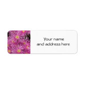 Pink Daisies Retour Adreslabels Etiket (Voorkant)