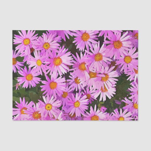  PINK DAISIES TISSUEPAPIER (Voorkant)