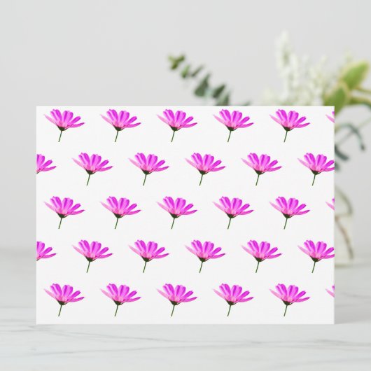 Pink Daisy (Staand voorkant)