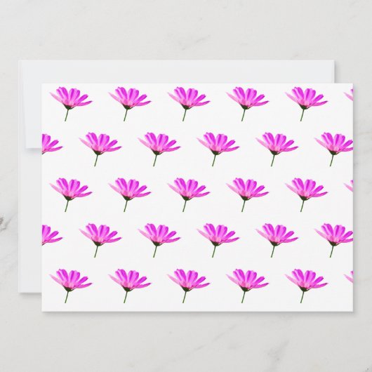 Pink Daisy (Voorkant)