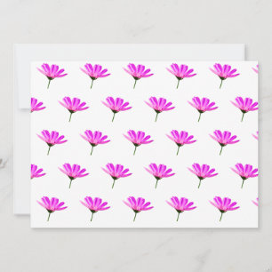 Pink Daisy
