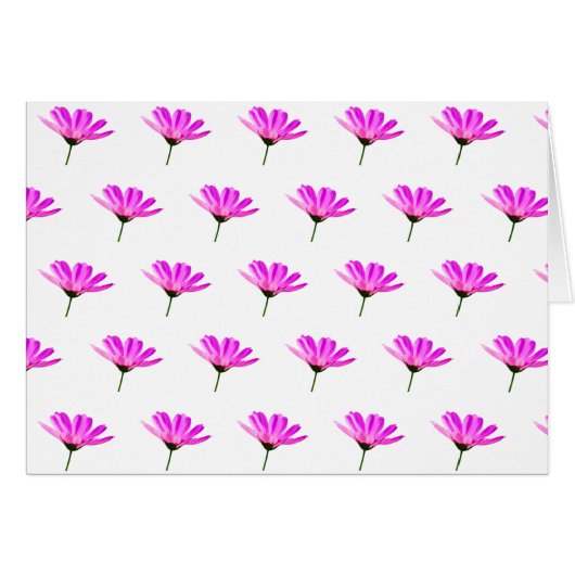 Pink Daisy (Voorkant Horizontaal)