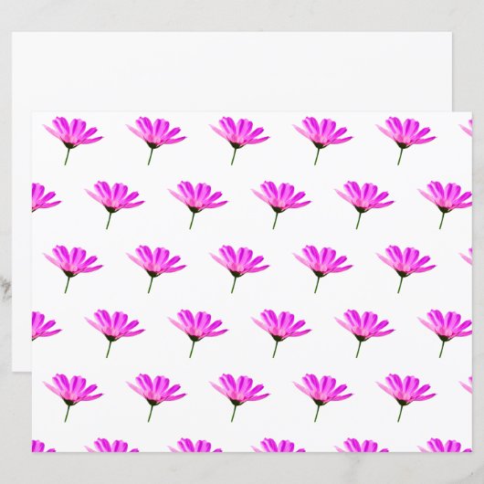 Pink Daisy (Voorkant / Achterkant)