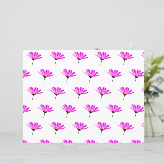 Pink Daisy (Staand voorkant)